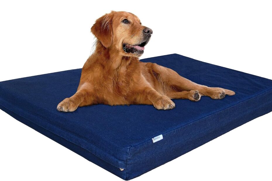 Ultimate Comfort: Review of the Dogbed4less Extra Large Orthopedic Memory Foam Dog Bed