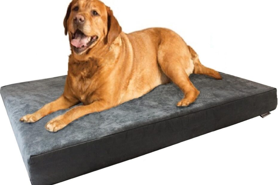 Ultimate Comfort: Review of the Dogbed4less XL Orthopedic Memory Foam Dog Bed