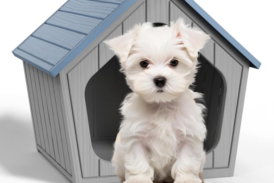 Ultimate Comfort: Review of the Easy Assembly Water-Resistant Dog House & Cat Shelter