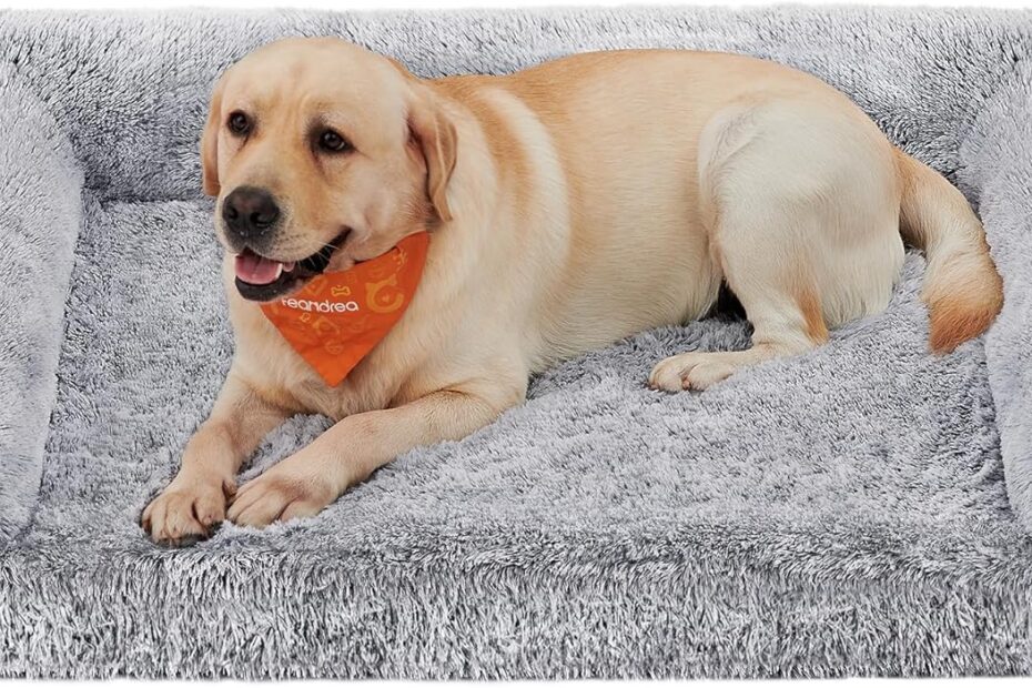 Ultimate Comfort: Review of the Feandrea Orthopaedic Dog Bed for Medium Dogs