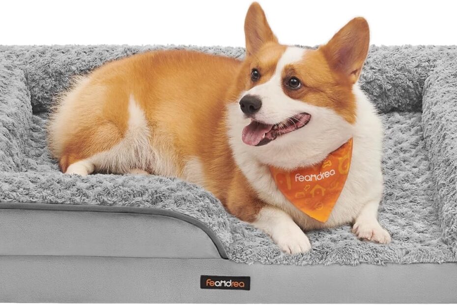 Ultimate Comfort: Review of the Feandrea Orthopaedic Dog Bed for Medium Dogs
