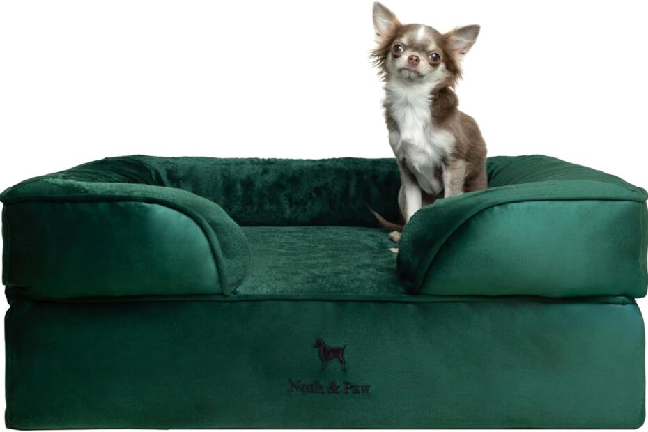 Ultimate Comfort: Review of the NOAH & PAW Orthopedic Dog Bed for Medium Pets