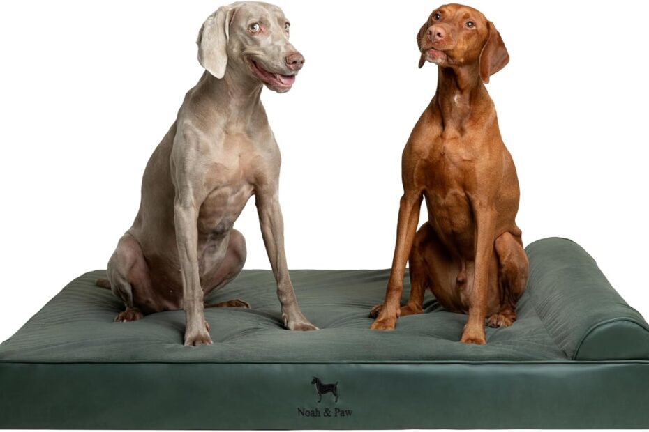 Ultimate Comfort: Review of the NOAH & PAW XXL Orthopedic Dog Bed