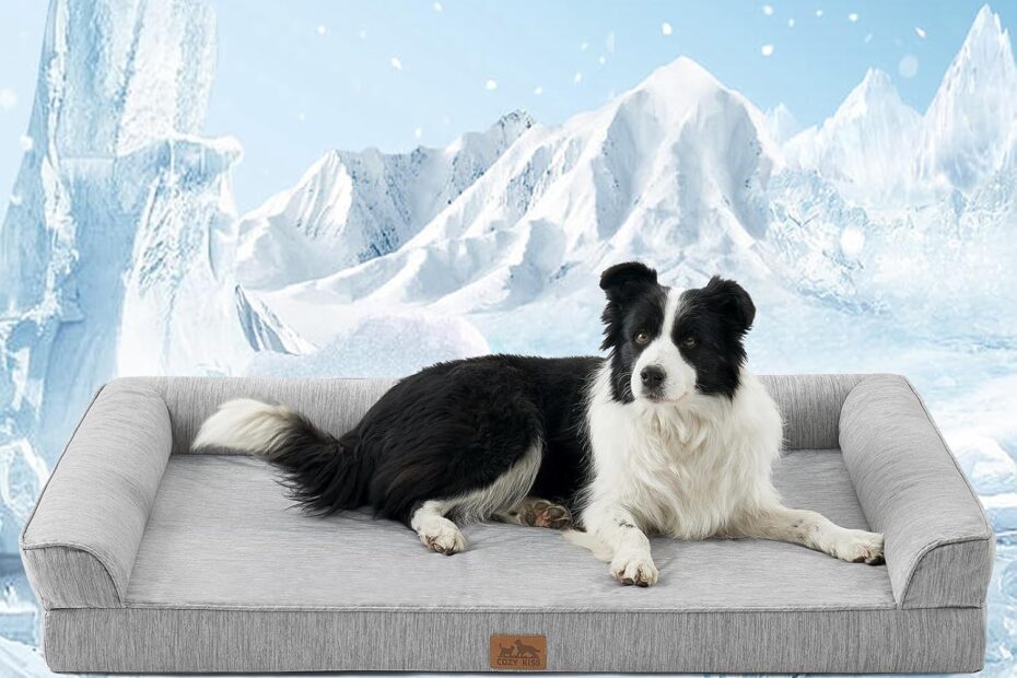 Ultimate Comfort: Review of the Orthopedic Cooling Dog Bed for Extra Large Pups