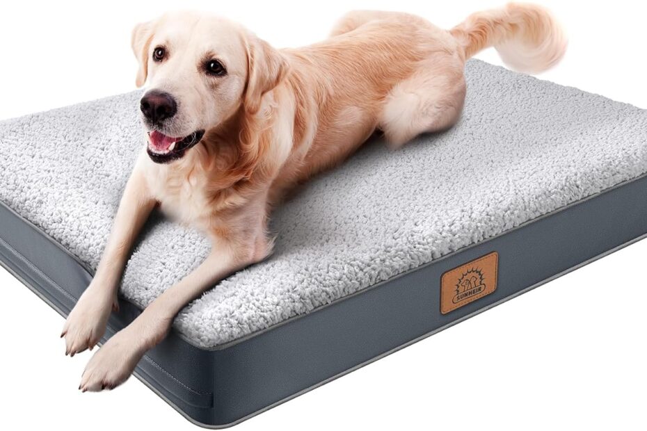 Ultimate Comfort: Review of the Orthopedic Dog Bed for Large Dogs