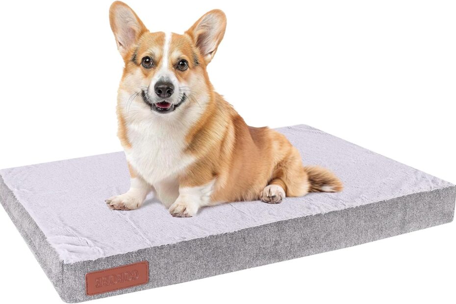 Ultimate Comfort: Review of the Orthopedic Dog Bed for Medium Dogs