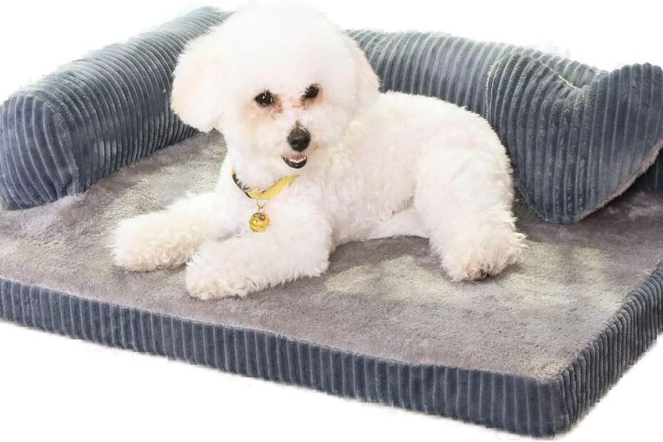 Ultimate Comfort: Review of the Orthopedic Dog Bed for Small Dogs