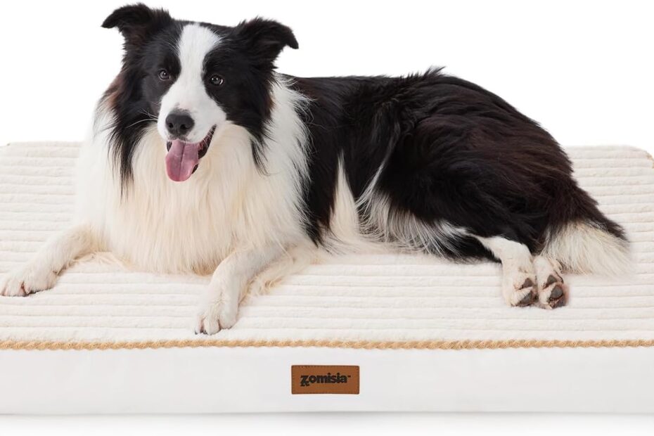 Ultimate Comfort: Review of the Orthopedic Dog Crate Bed for Large Dogs