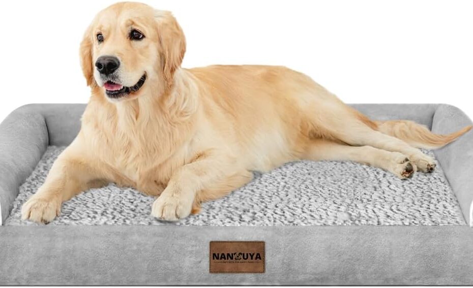 Ultimate Comfort: Review of the Orthopedic Large Dog Bed for Big Dogs