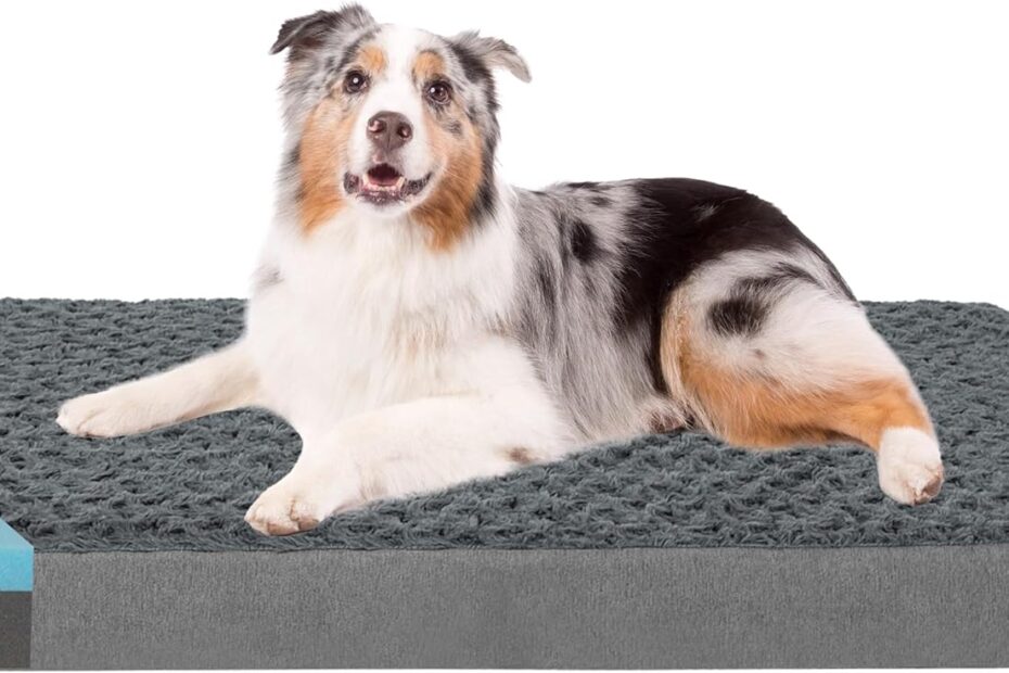 Ultimate Comfort: Review of the Orthopedic Memory Foam Bed for Large Dogs