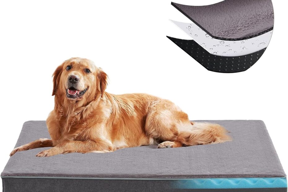 Ultimate Comfort: Review of the Orthopedic Memory Foam Dog Bed for Large Dogs