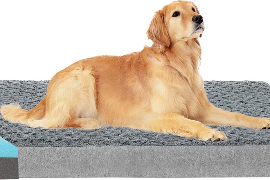 Ultimate Comfort: Review of the Orthopedic Memory Foam Dog Bed for XL Breeds