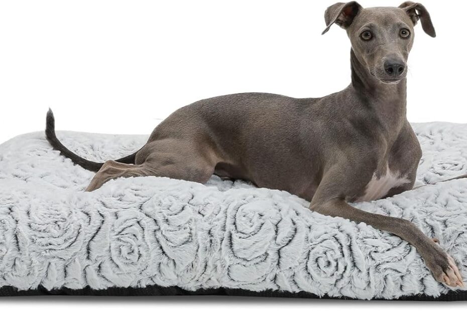 Ultimate Comfort: Review of the Orthopedic Plush Dog Bed for All Breeds