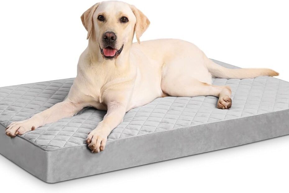 Ultimate Comfort: Review of the Orthopedic XL Waterproof Dog Bed