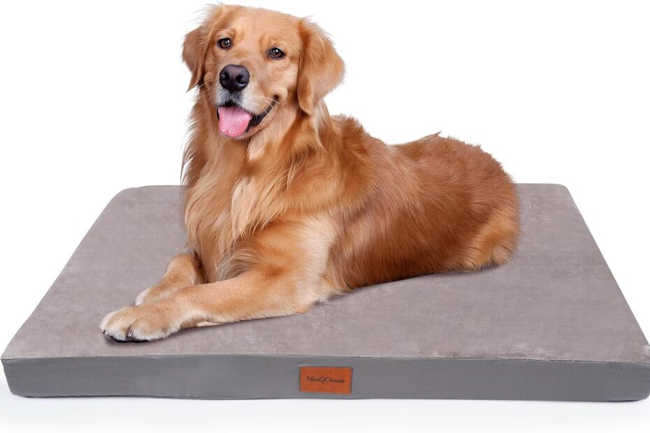 Ultimate Comfort: Review of the Waterproof XXL Dog Bed for Large Breeds