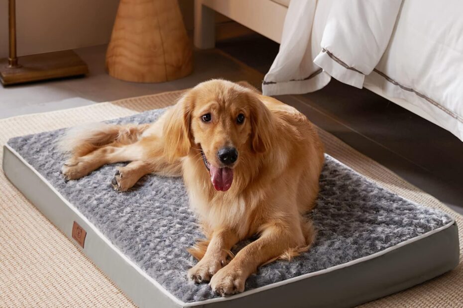 Ultimate Comfort: Review of the WNPETHOME Orthopedic Large Dog Bed