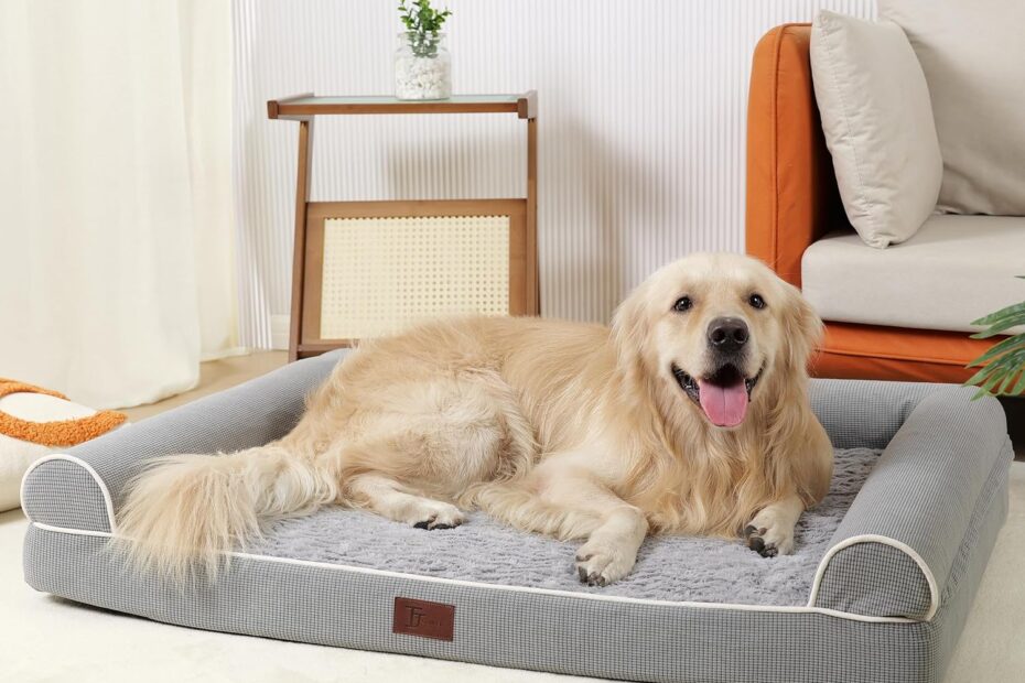 Ultimate Comfort: Reviews of Orthopedic Dog Beds for Large Pups