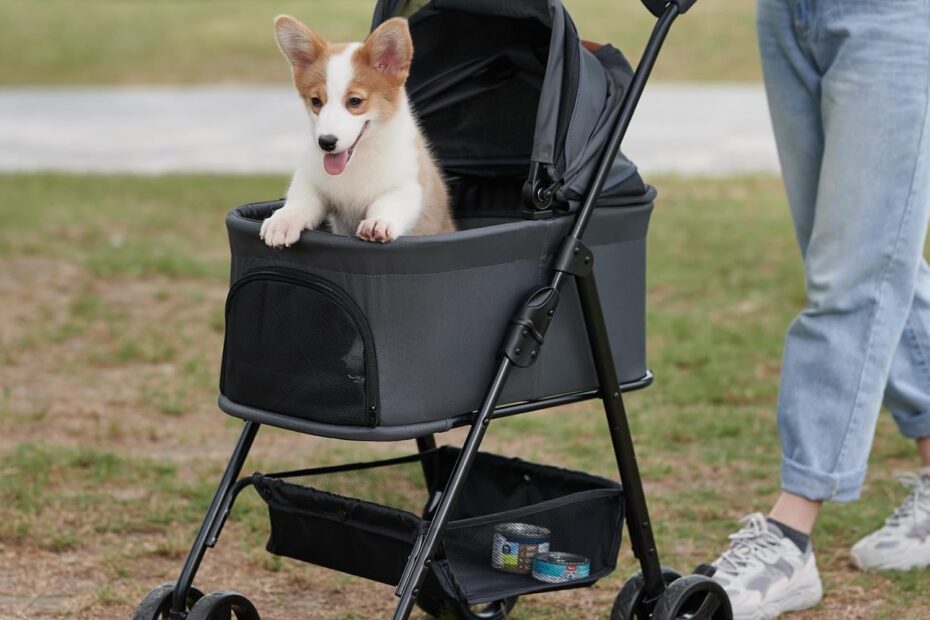 Ultimate Comfort: The 3-in-1 Zoosky Folding Dog Stroller Review