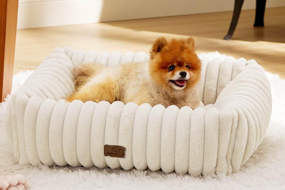 Ultimate Comfort: The Bedsure Cute Dog Bed Review for Your Furry Friend