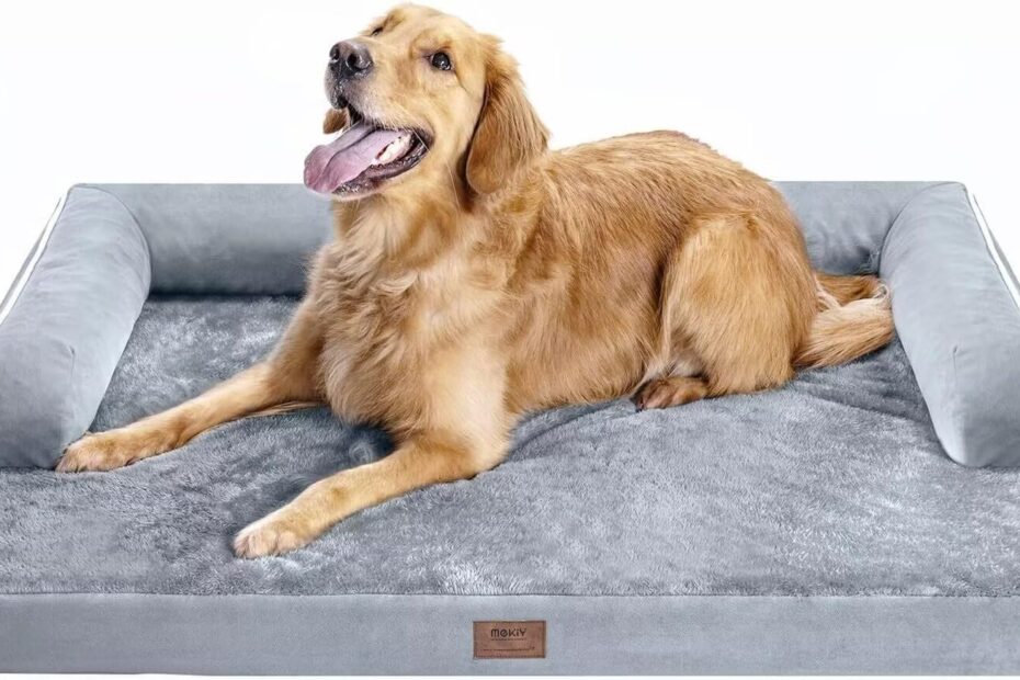 Ultimate Comfort: The Best Orthopedic Dog Bed for Large Breeds