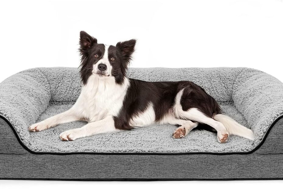 Ultimate Comfort: The Best Orthopedic Dog Bed for Your Large Pup