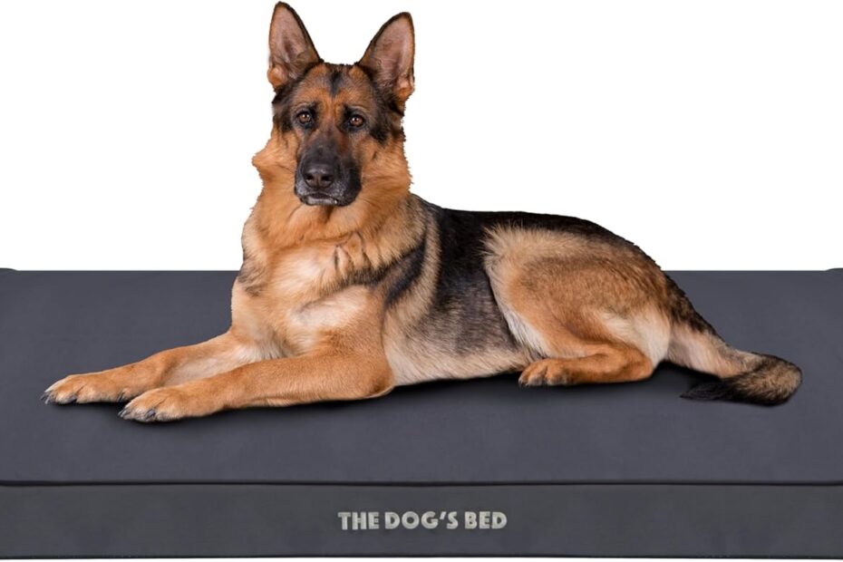 Ultimate Comfort: The Dog's Bed Orthopedic Foam Dog Bed Review