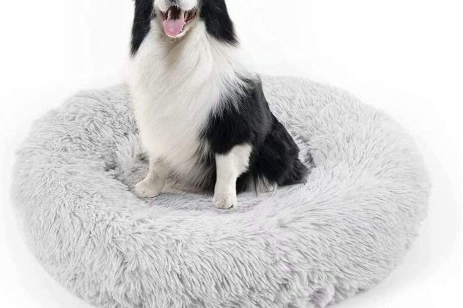 Ultimate Comfort: The Donut Cuddler Bed for Your Furry Friends