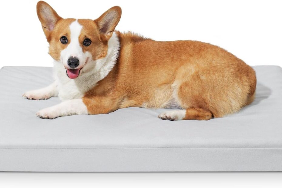 Ultimate Comfort: The Indestructible Chew Proof Dog Bed Review