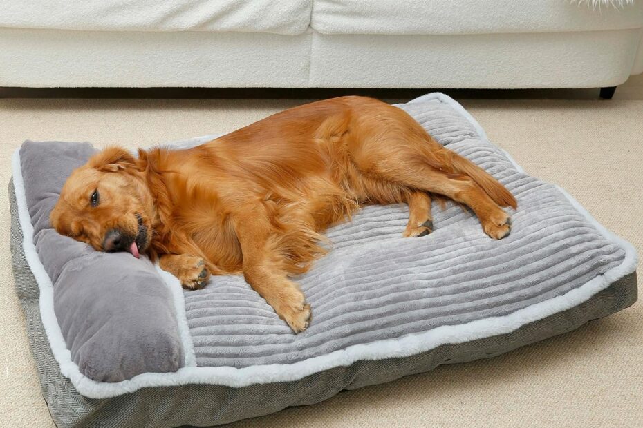 Ultimate Comfort: The Large Dog Bed with Pillow Your Pup Deserves!