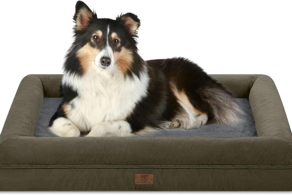 Ultimate Comfort: The Large Orthopedic Dog Bed Review for Your Big Furry Friend