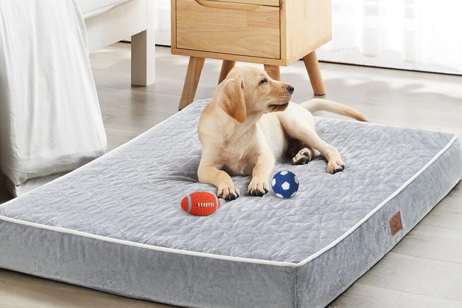 Ultimate Comfort: WNPETHOME Orthopedic Dog Bed Review for Large Pups!