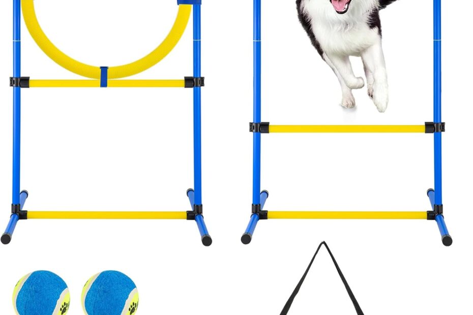 Ultimate Dog Agility Training Gear: Transform Your Backyard into an Adventure Course!