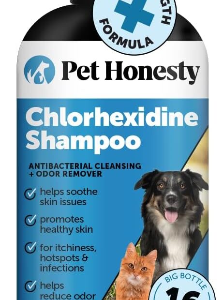Ultimate Relief: Review of Chlorhexidine Cat & Dog Itch Relief Shampoo