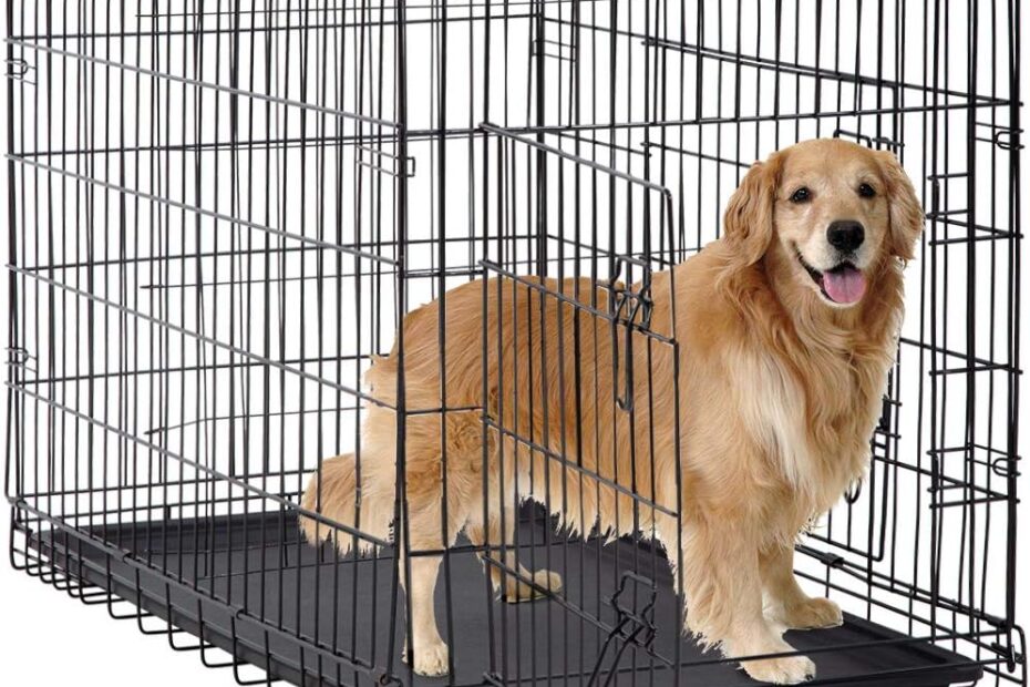 Ultimate Review: Best Pet 48-Inch Dog Crate for Large Breeds