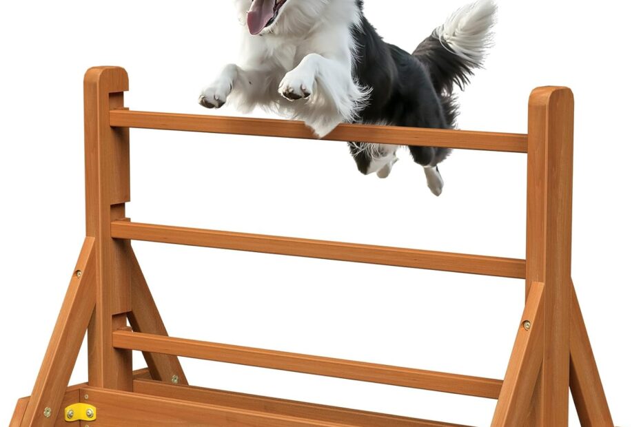 Unleash Fun: A Review of the Ultimate Dog Agility Set for Backyard Training!