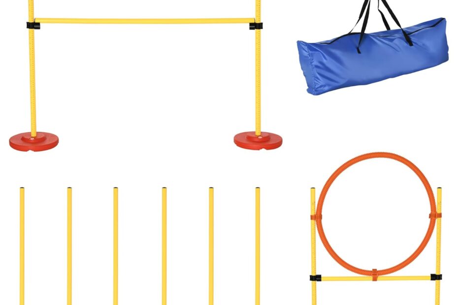 Unleash Fun: Review of PawHut 3PC Dog Agility Training Kit
