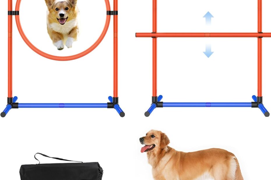 Unleash Fun: Review of the 2-Set Adjustable Dog Agility Training Equipment