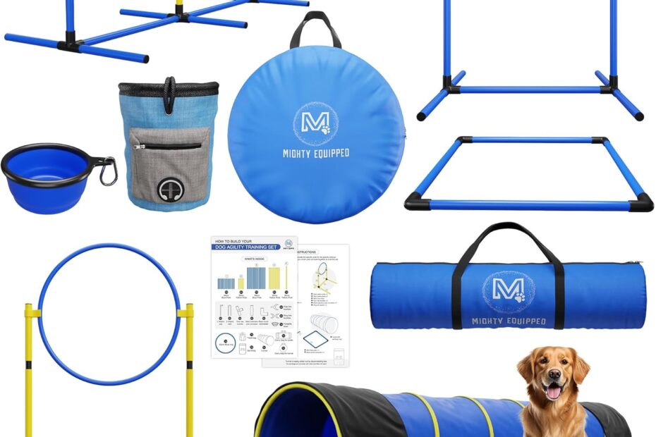 Unleash Fun: Review of the Ultimate Dog Agility Equipment for All Training Levels!