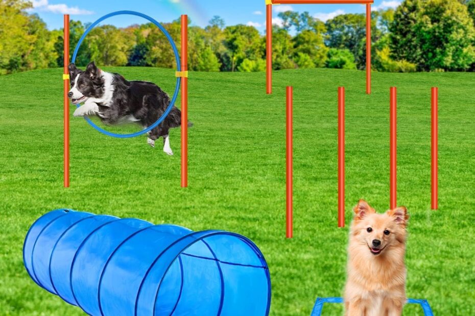 Unleash Fun: Review of the XiaZ Dog Agility Course Starter Kit