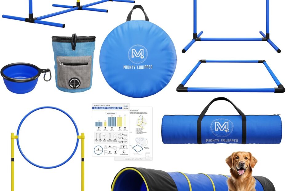 Unleash Fun: The Ultimate Dog Agility Equipment Review!
