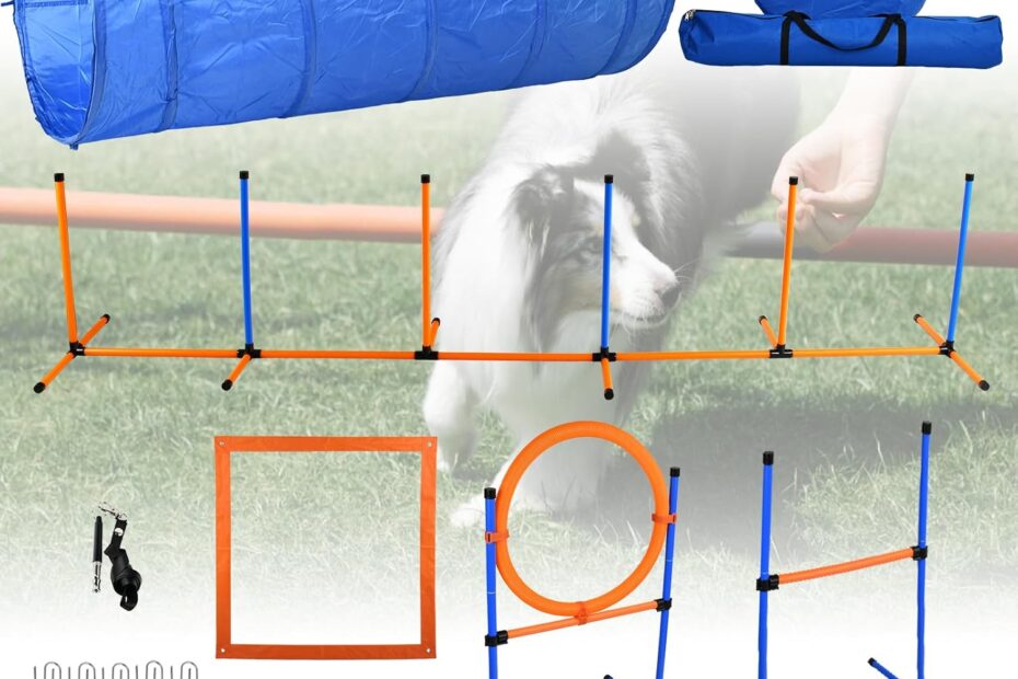 Unleash Fun: The Ultimate Dog Agility Training Equipment Set Review