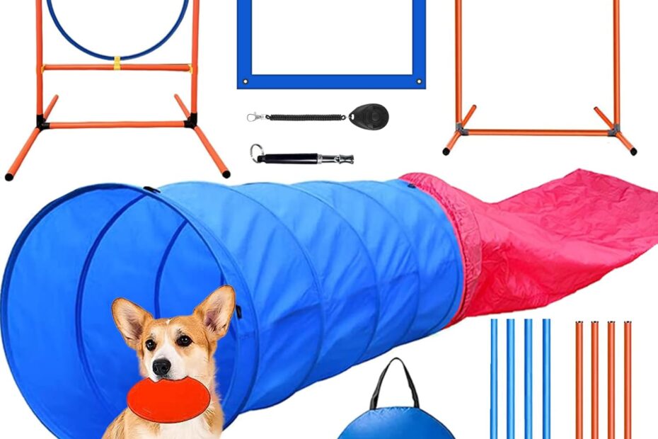 Unleash Fun: The Ultimate Dog Agility Training Equipment Set Reviewed!