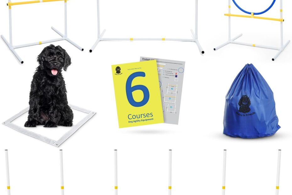 Unleash Fun: The Ultimate Ruby & Friends Dog Agility Course Review!