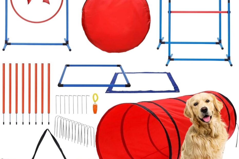 Unleash the Fun: 15-Piece Dog Agility Course Set Review!