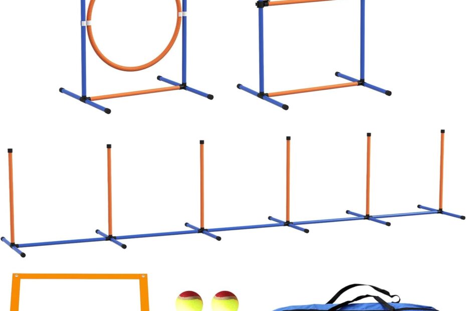 Unleash the Fun: Review of PawHut 7-Piece Dog Agility Training Kit