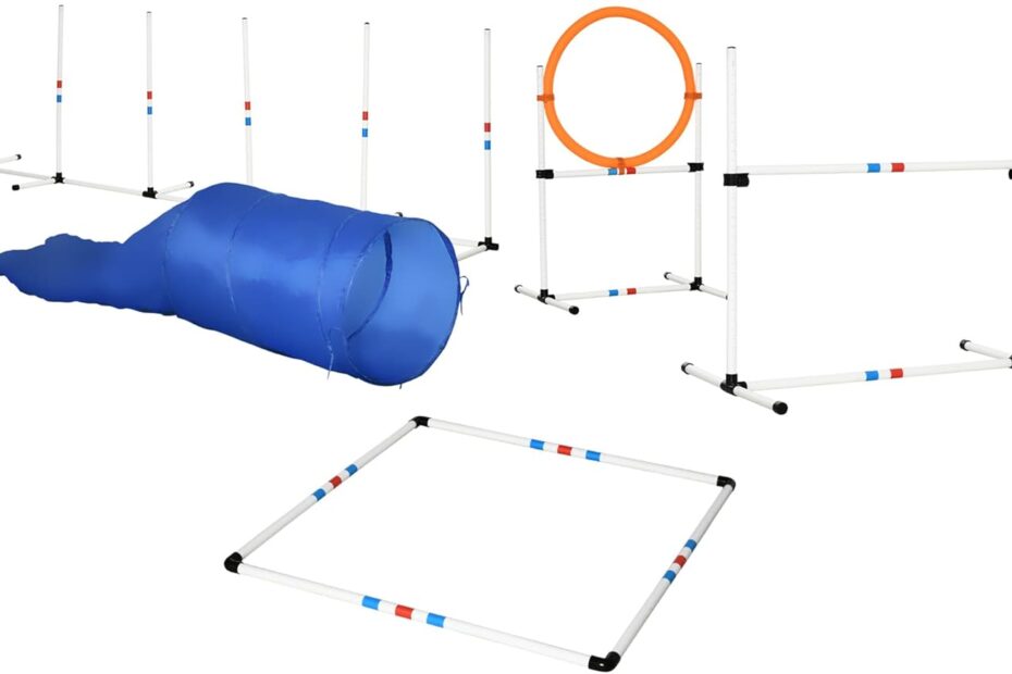 Unleash the Fun: Review of PawHut's 5-Piece Dog Agility Training Kit