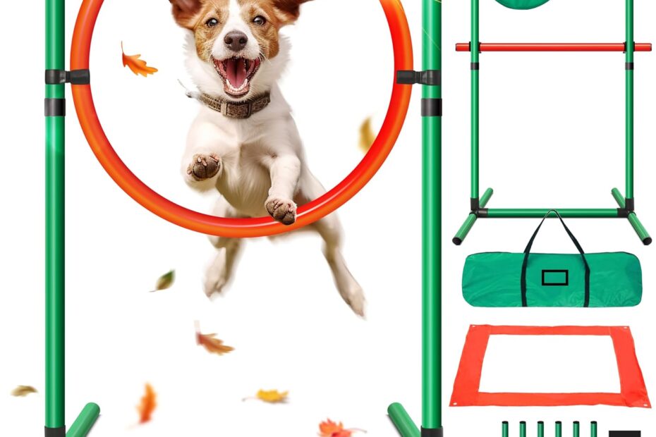 Unleash the Fun: Review of the Ultimate Dog Agility Training Kit!