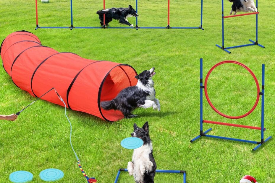 Unleash the Fun: YITAHOME Dog Agility Kit Review & Recommendations!