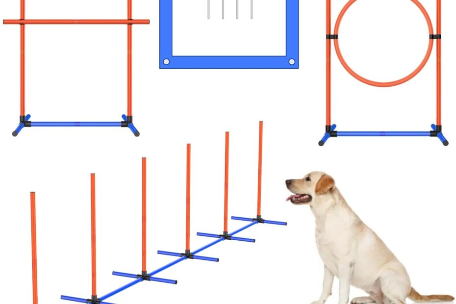 Unleash Your Dog's Potential: A Review of the 4 Sets Pets Agility Training Equipment