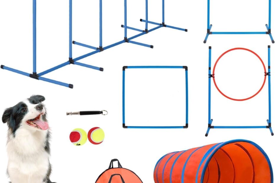 Unleash Your Dog's Potential: Review of the Ultimate Backyard Agility Course!